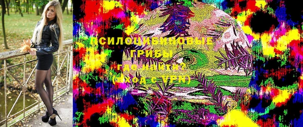 apvp Верхний Тагил