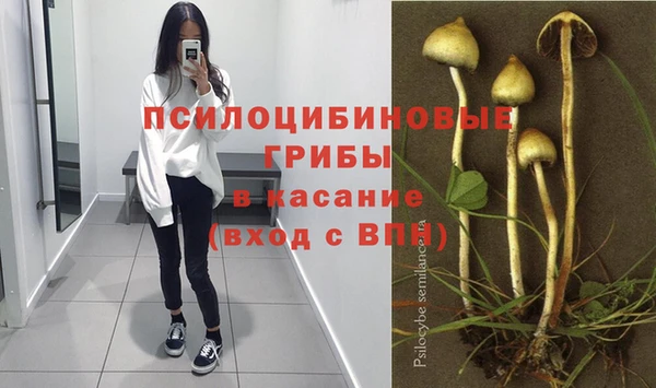 тгк Верея