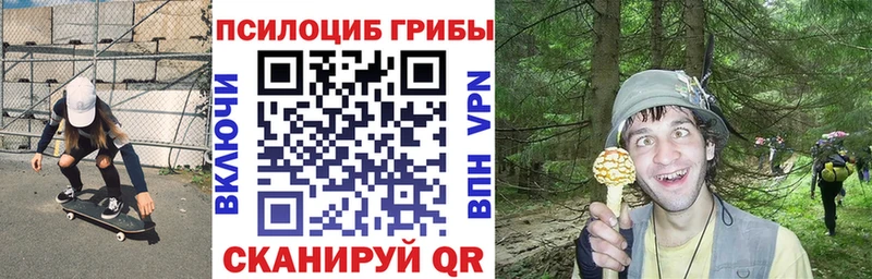 Псилоцибиновые грибы Cubensis  купить   Майкоп 